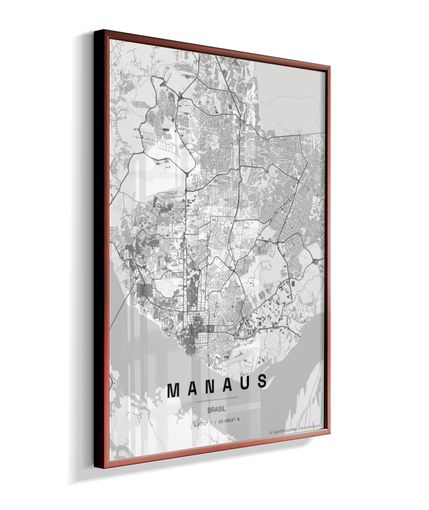 Quadro Mapa de Manaus - Vertical