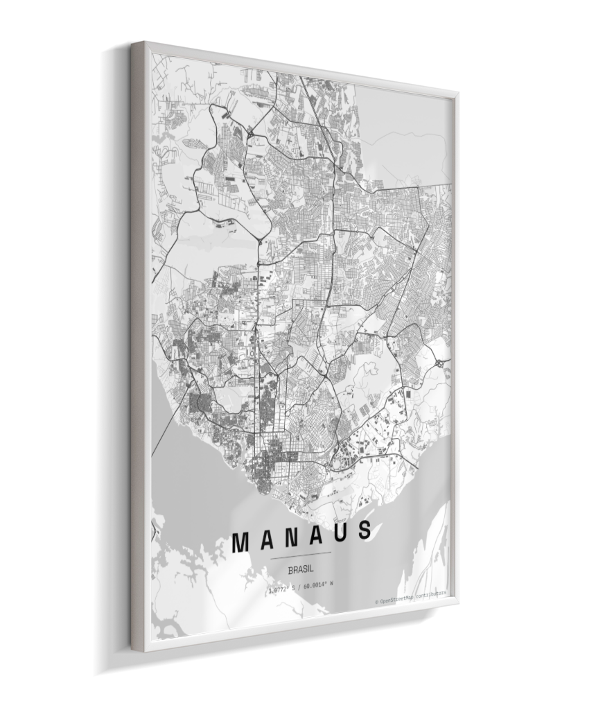 Quadro Mapa de Manaus - Vertical