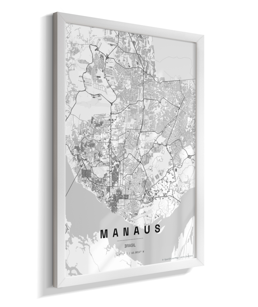 Quadro Mapa de Manaus - Vertical