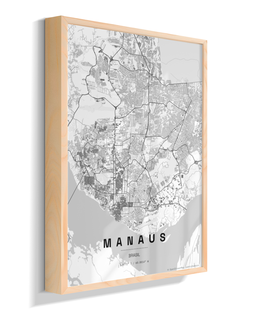 Quadro Mapa de Manaus - Vertical