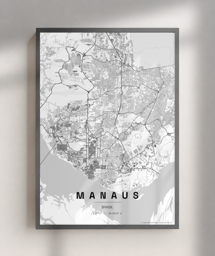 Quadro Mapa de Manaus - Vertical