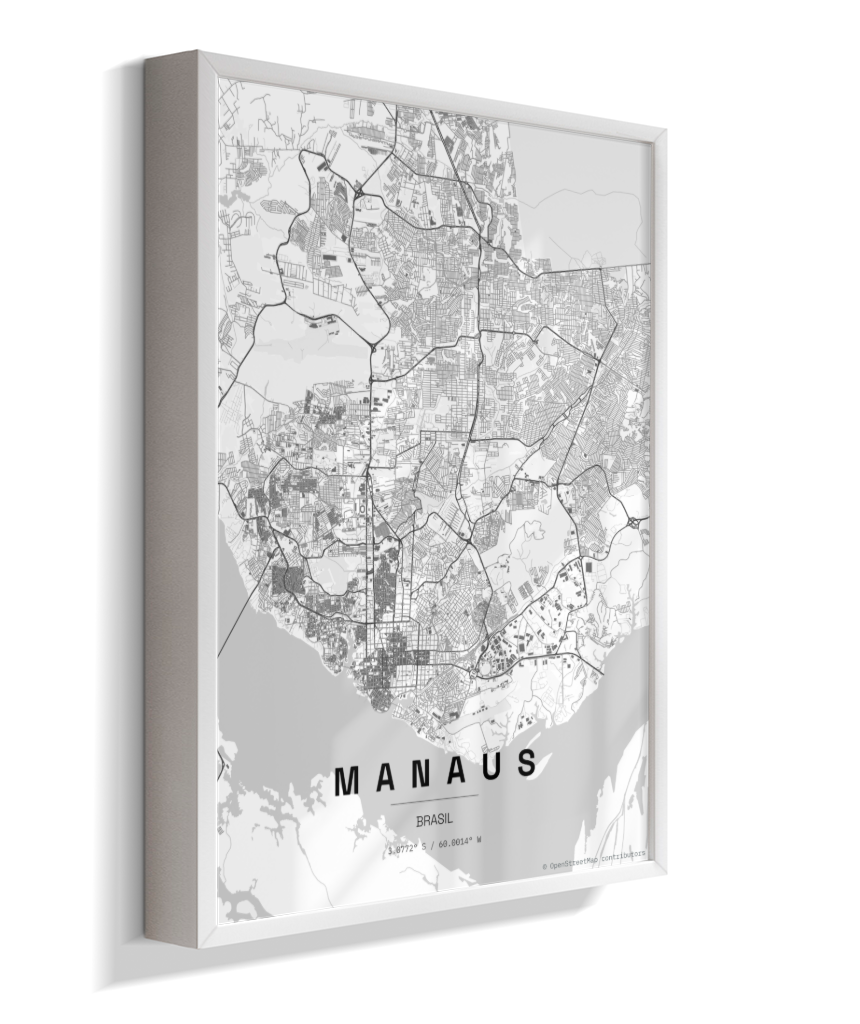 Quadro Mapa de Manaus - Vertical