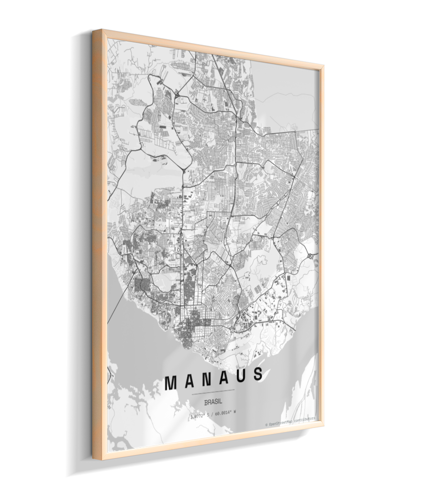 Quadro Mapa de Manaus - Vertical