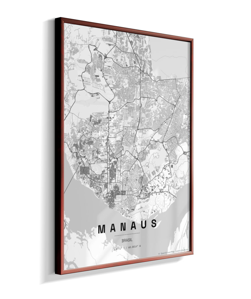 Quadro Mapa de Manaus - Vertical