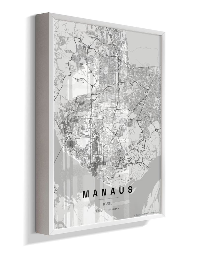 Quadro Mapa de Manaus - Vertical