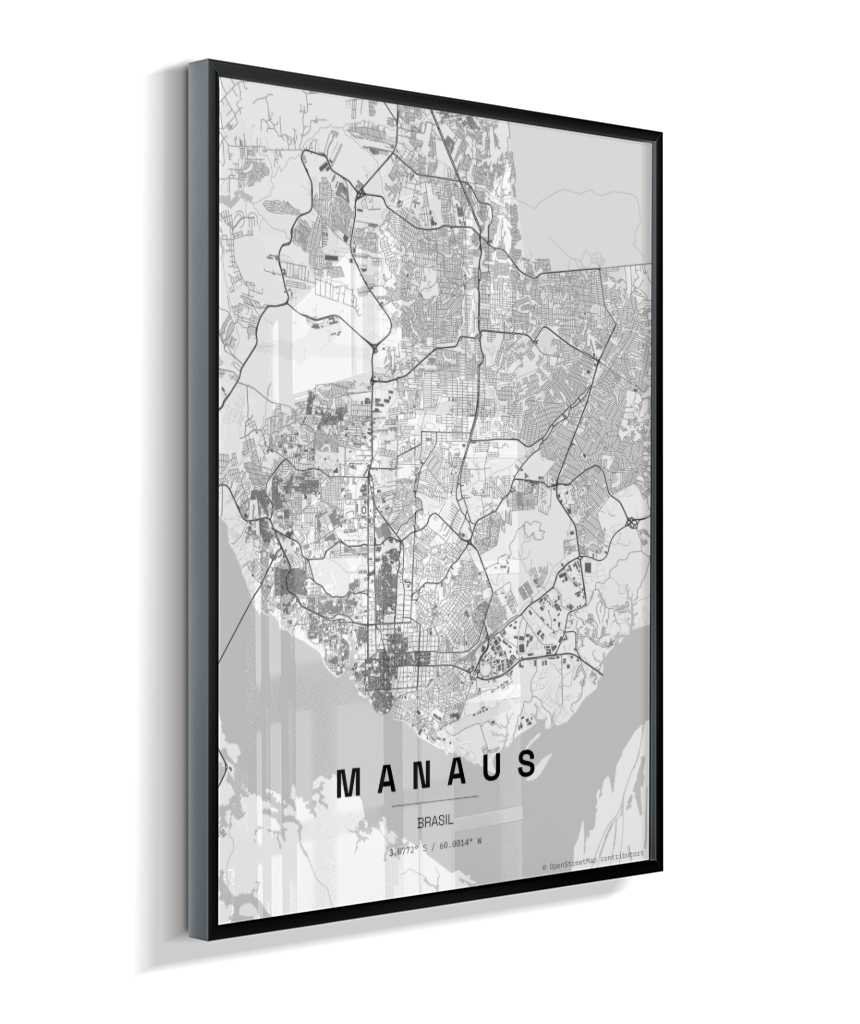 Quadro Mapa de Manaus - Vertical