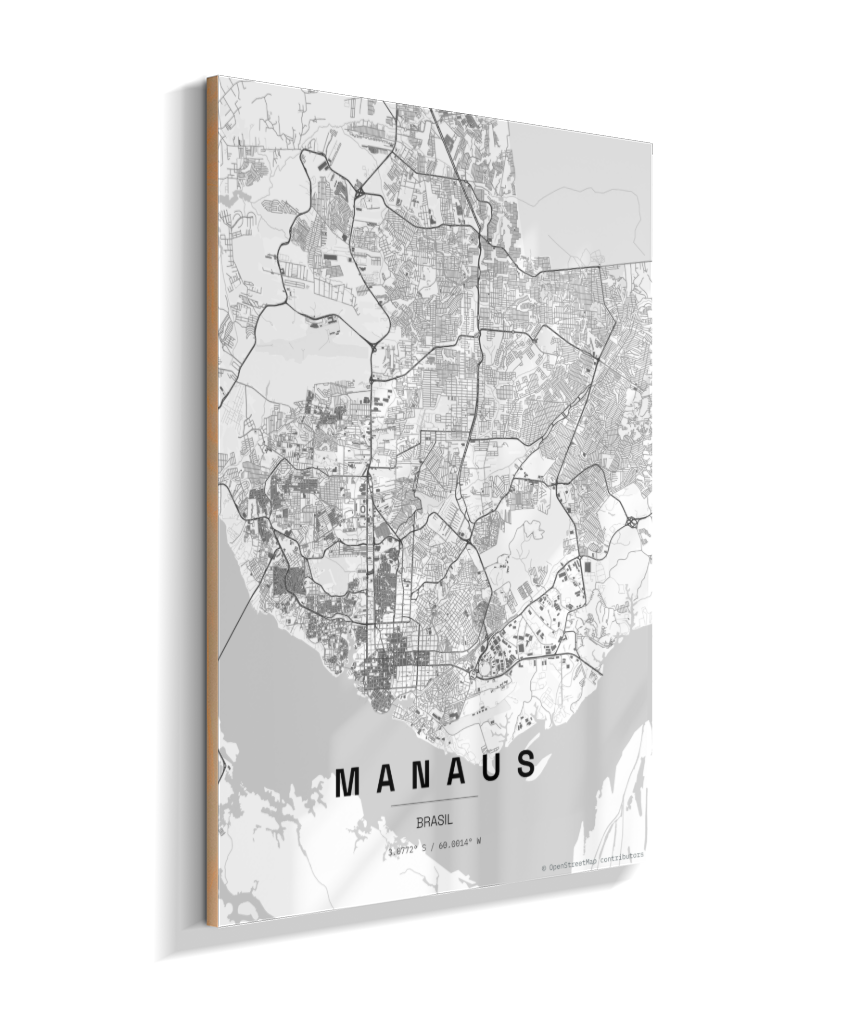 Quadro Mapa de Manaus - Vertical