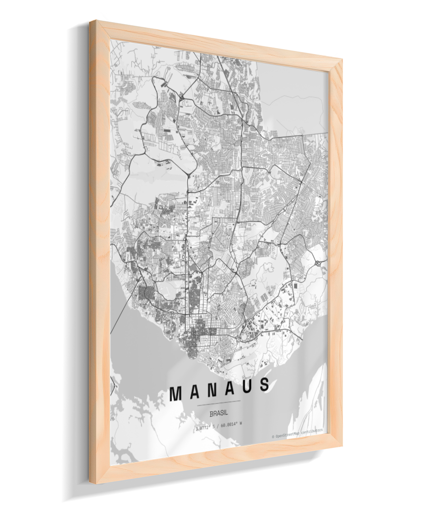 Quadro Mapa de Manaus - Vertical