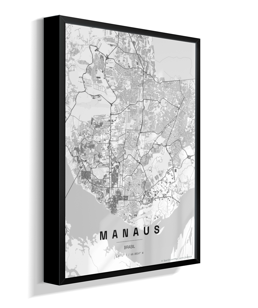 Quadro Mapa de Manaus - Vertical
