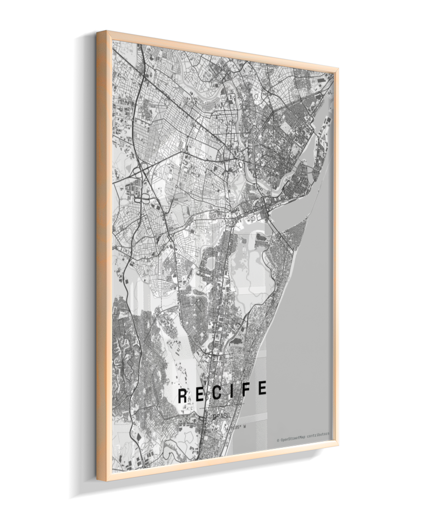 Quadro Mapa de Recife - Vertical