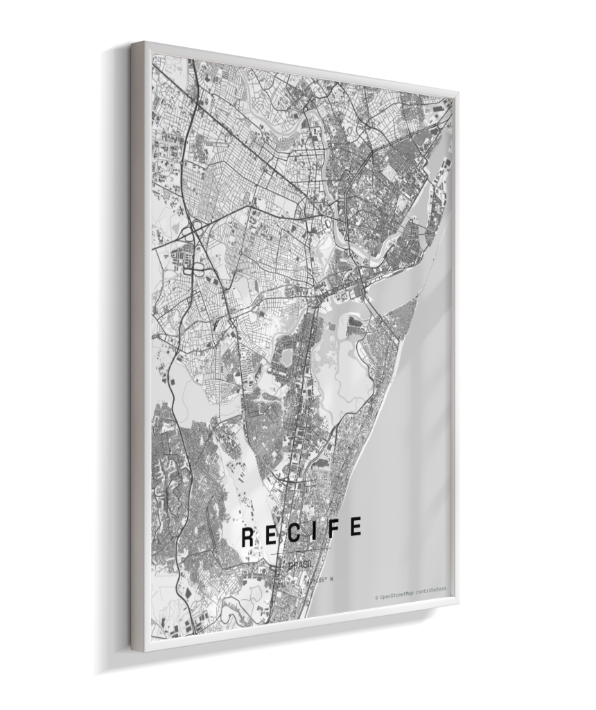 Quadro Mapa de Recife - Vertical