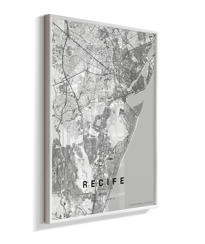 Quadro Mapa de Recife - Vertical