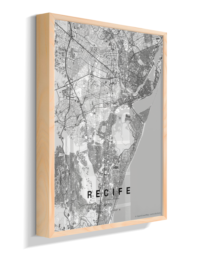 Quadro Mapa de Recife - Vertical