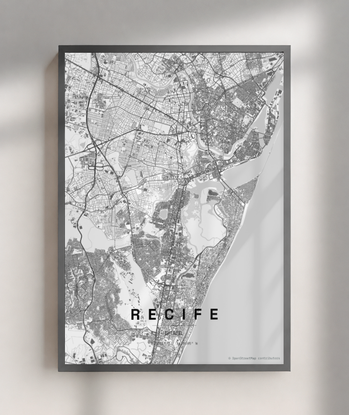 Quadro Mapa de Recife - Vertical