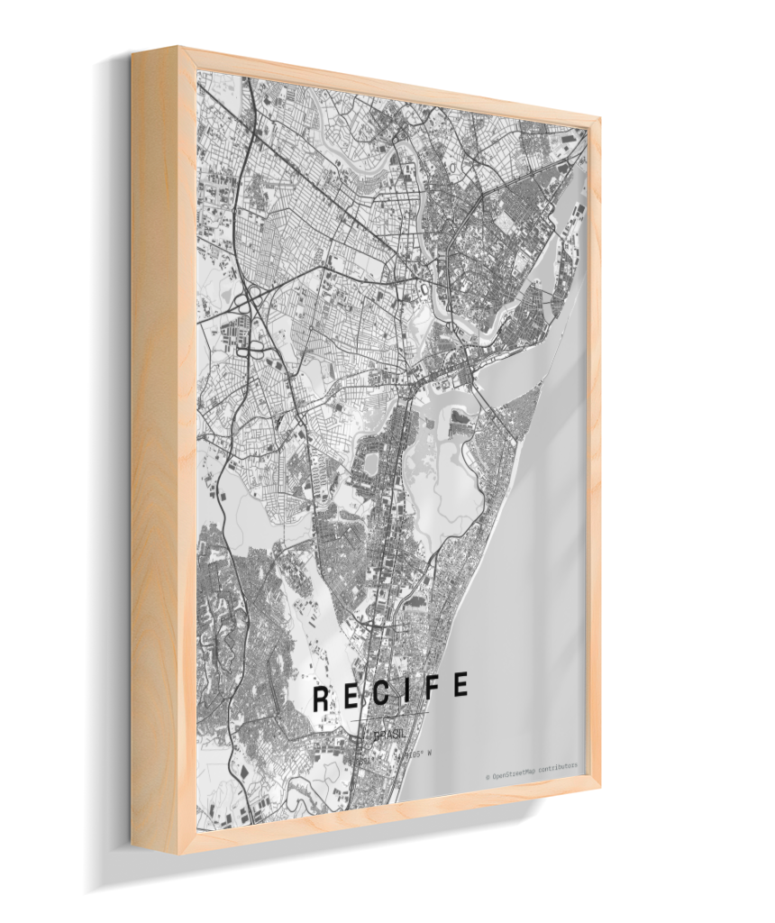 Quadro Mapa de Recife - Vertical
