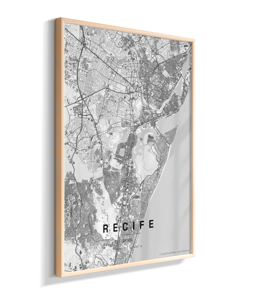 Quadro Mapa de Recife - Vertical
