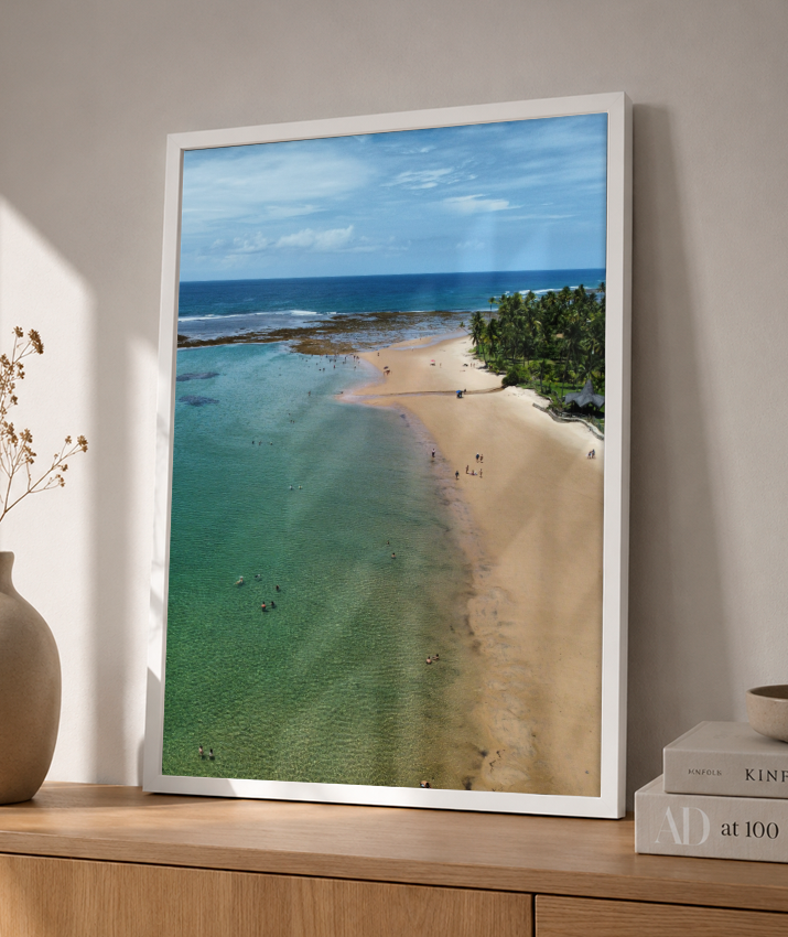 Quadro Praia Taipus de Fora - Vertical