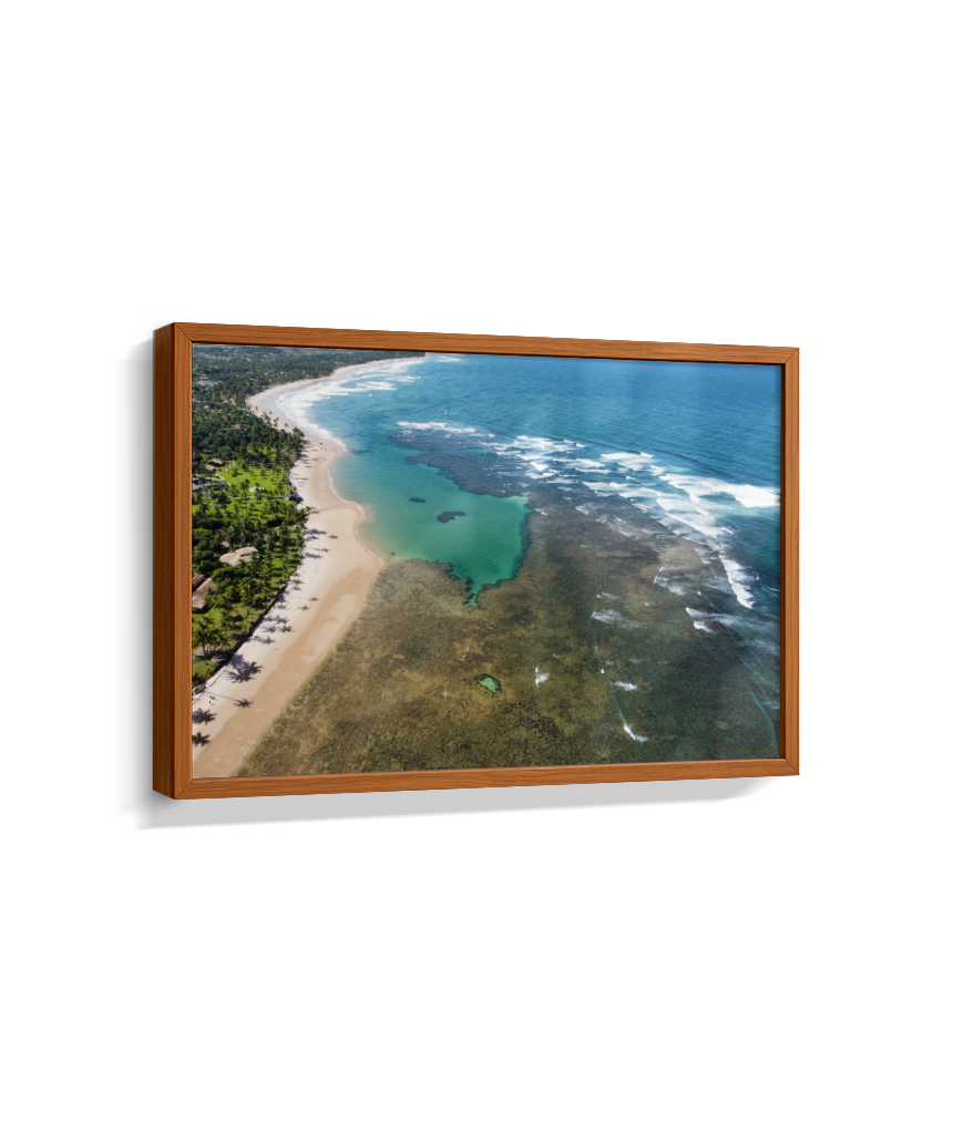 Quadro Coral Praia Taipus de Fora - Horizontal
