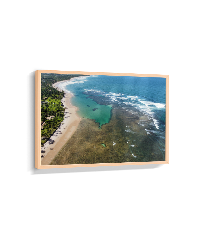 Quadro Coral Praia Taipus de Fora - Horizontal