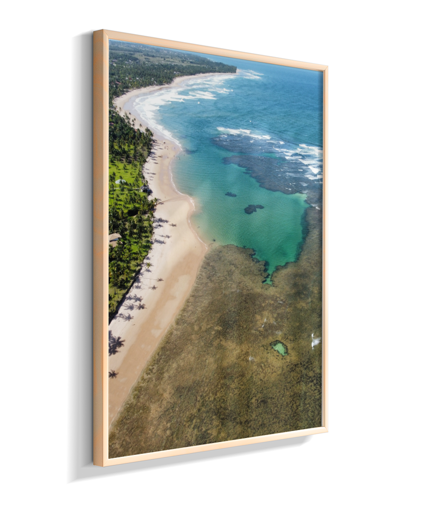 Quadro Coral Praia Taipus de Fora - Vertical
