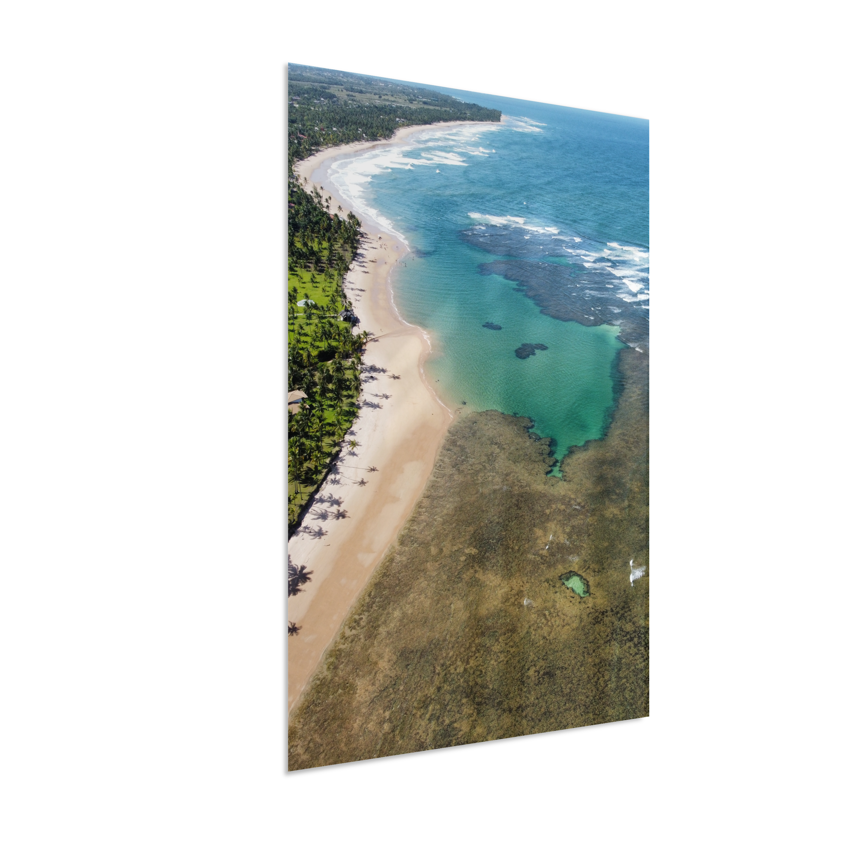 Quadro Coral Praia Taipus de Fora - Vertical