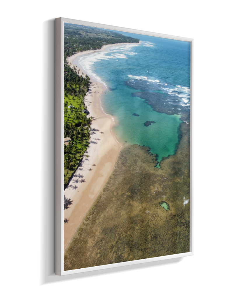 Quadro Coral Praia Taipus de Fora - Vertical