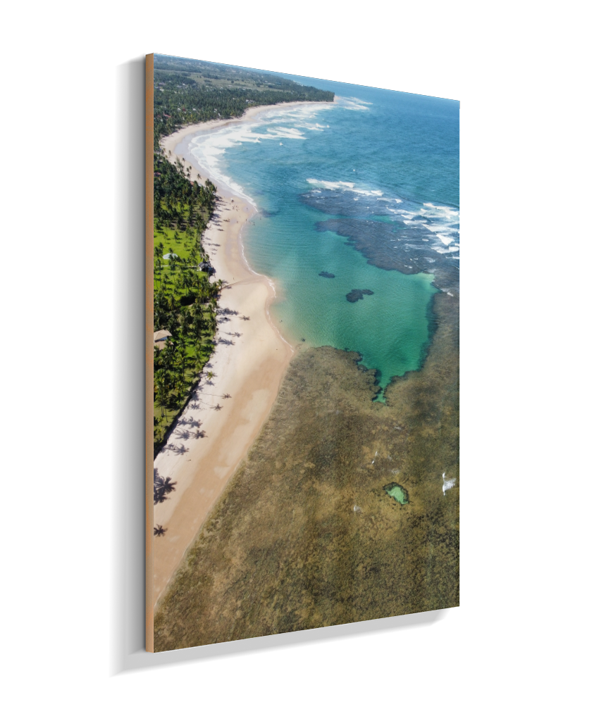 Quadro Coral Praia Taipus de Fora - Vertical