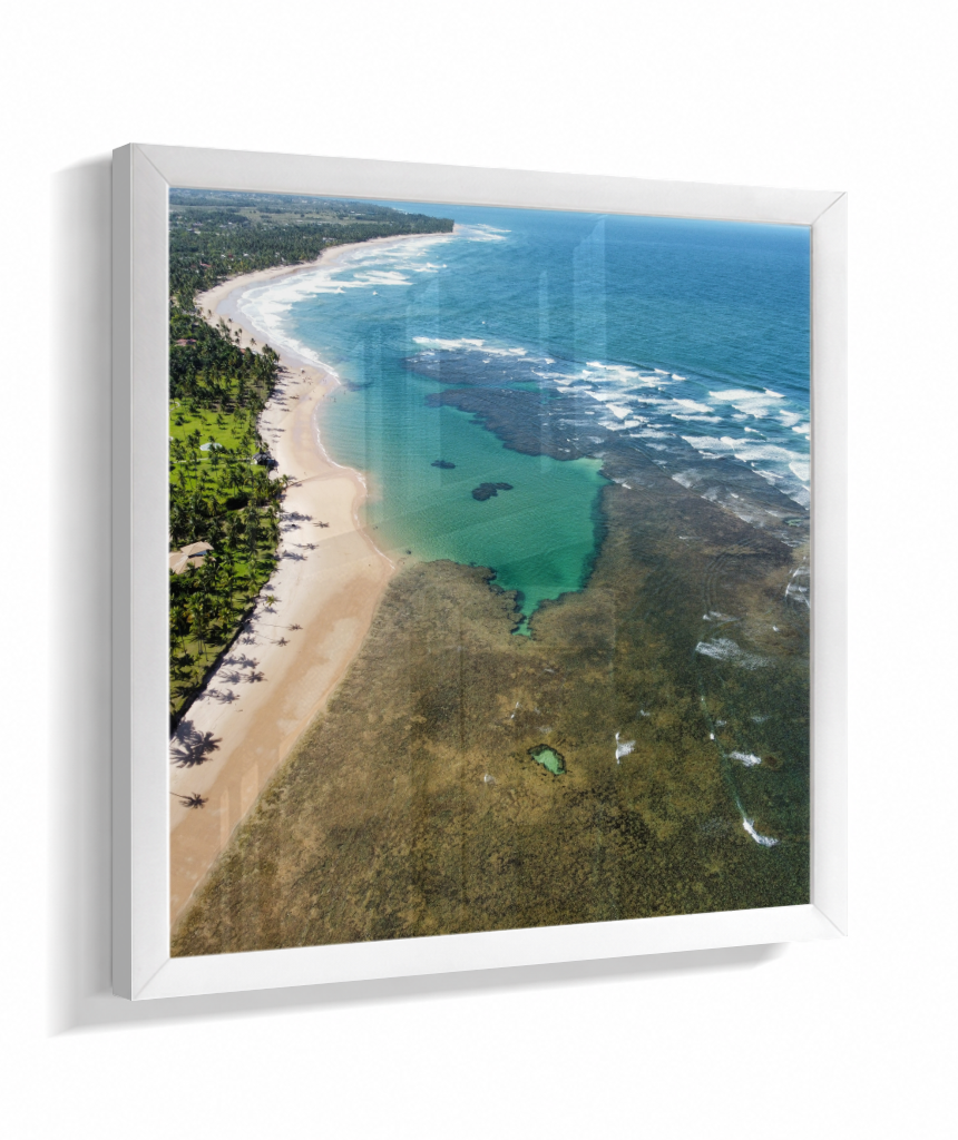 Quadro Coral Praia Taipus de Fora - Quadrado
