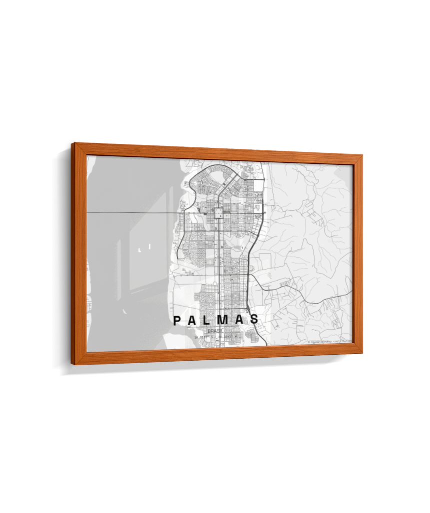 Quadro Mapa de Palmas - Horizontal