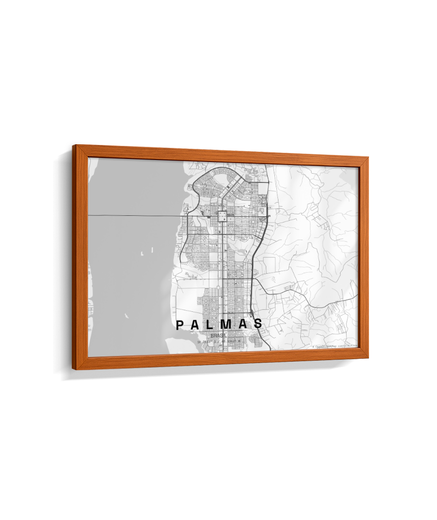 Quadro Mapa de Palmas - Horizontal