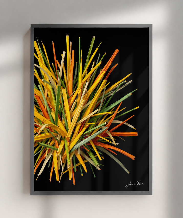 Cores 11 / JOANA PENA