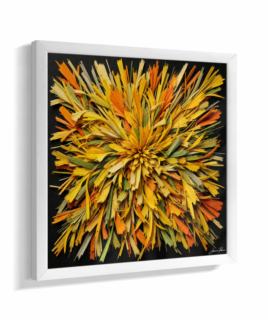 Cores 8 / JOANA PENA