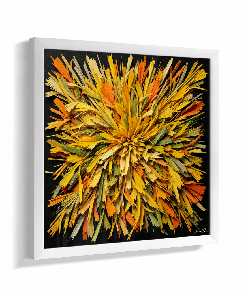 Cores 8 / JOANA PENA