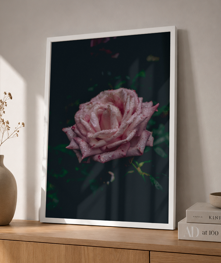 Rosa