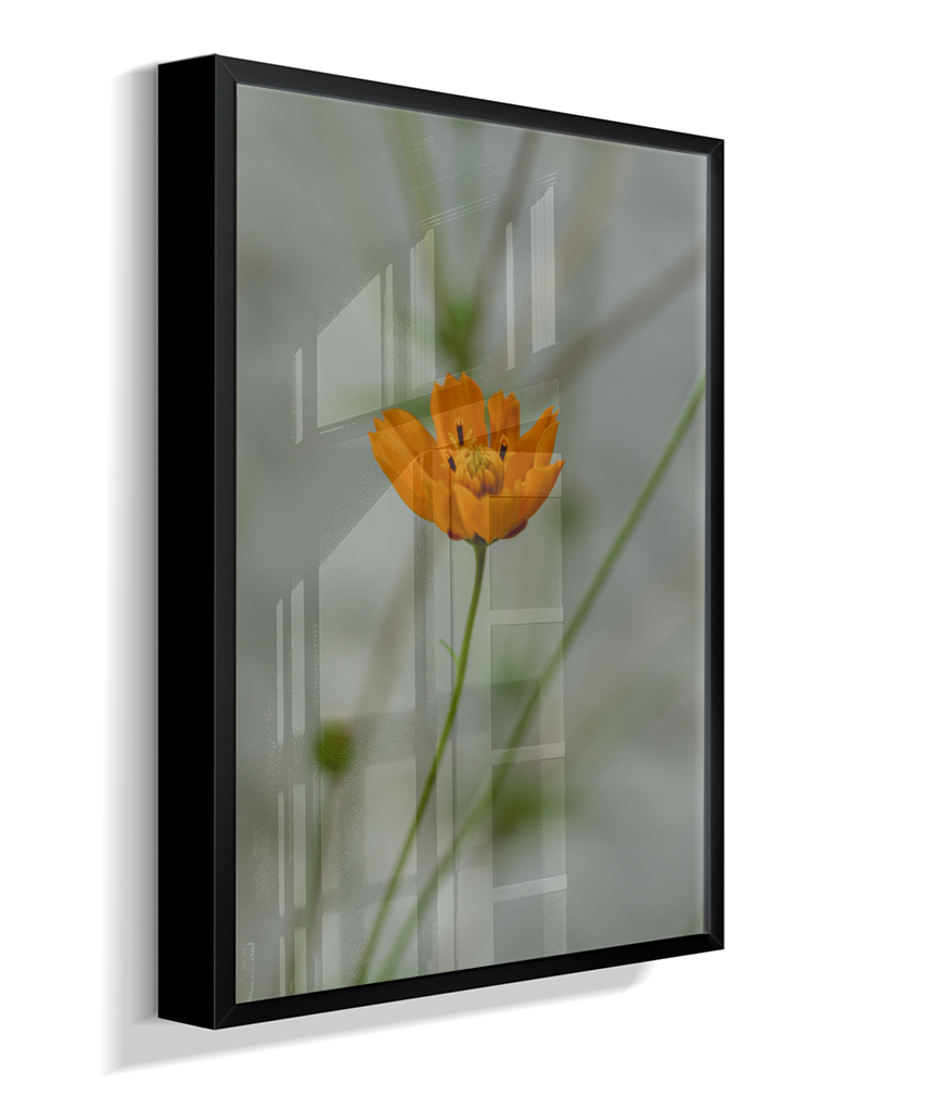 Cosmos