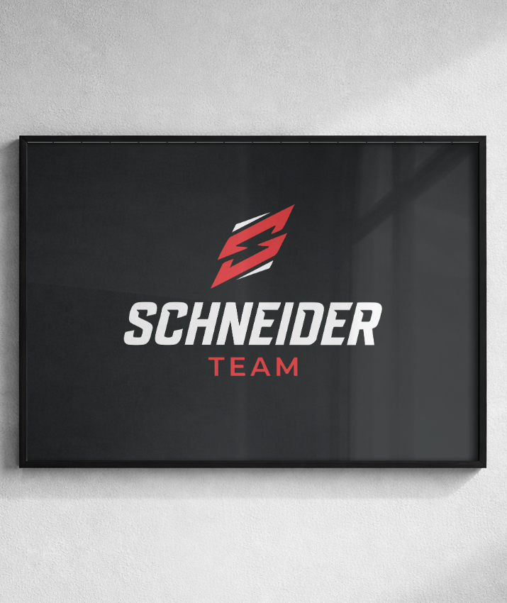 Quadro schneider team preto