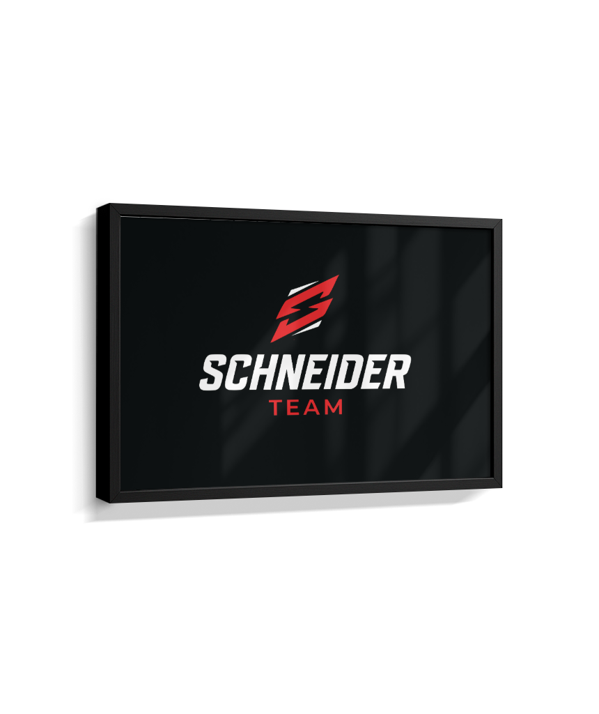 Quadro schneider team preto