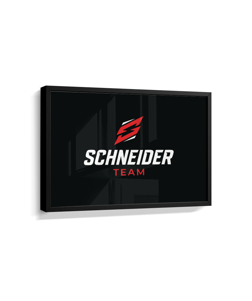 Quadro schneider team preto