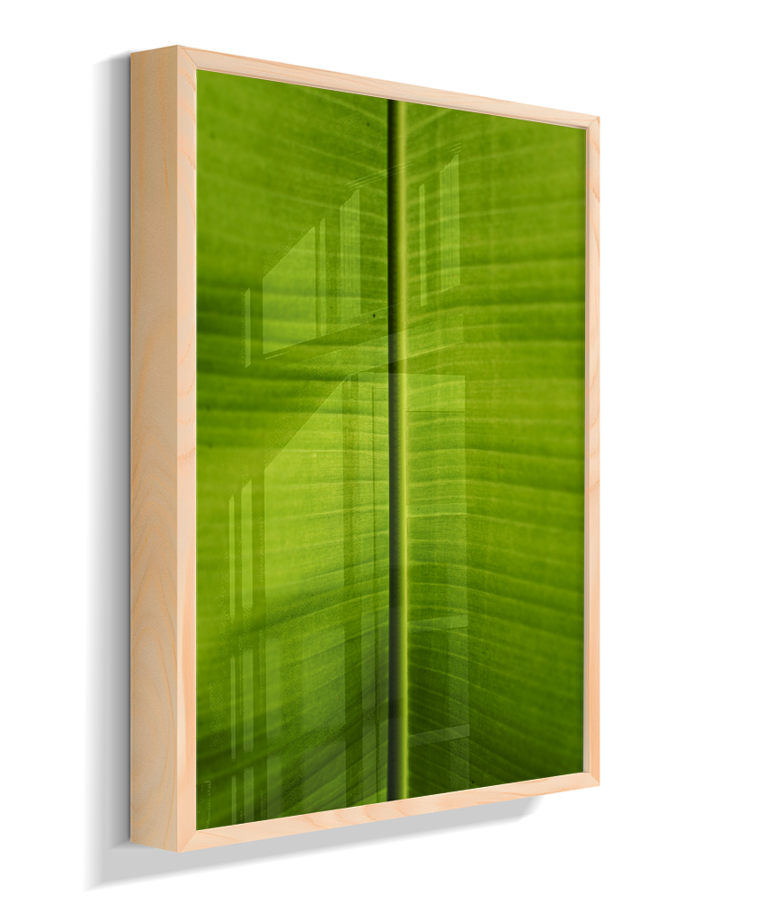 Folha de bananeira