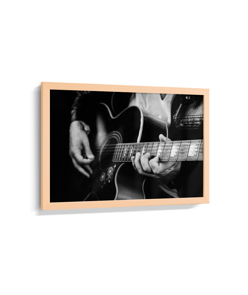 Guitarrista PB