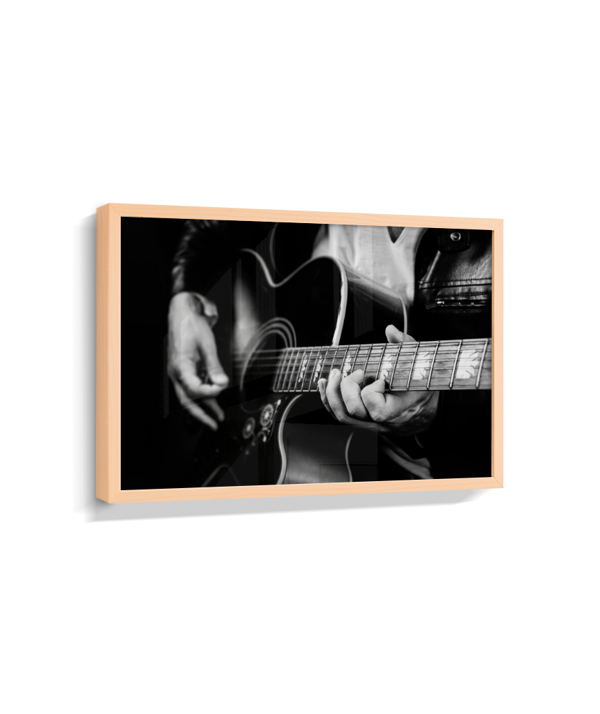Guitarrista PB