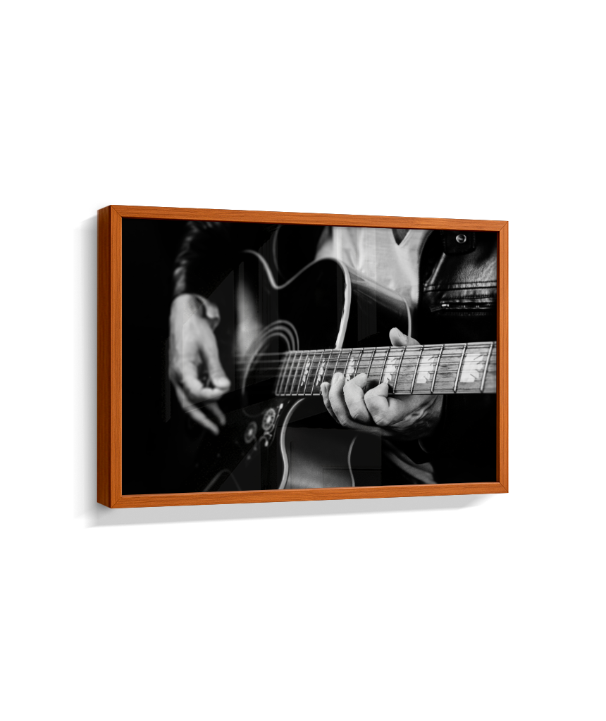 Guitarrista PB