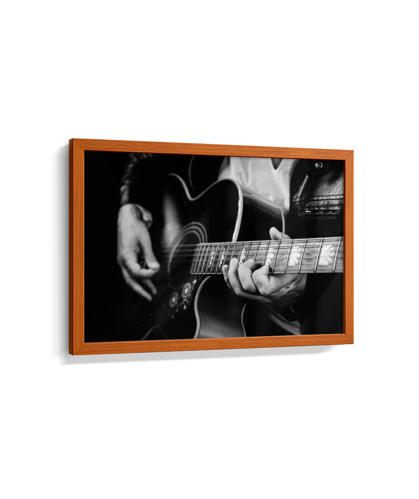 Guitarrista PB