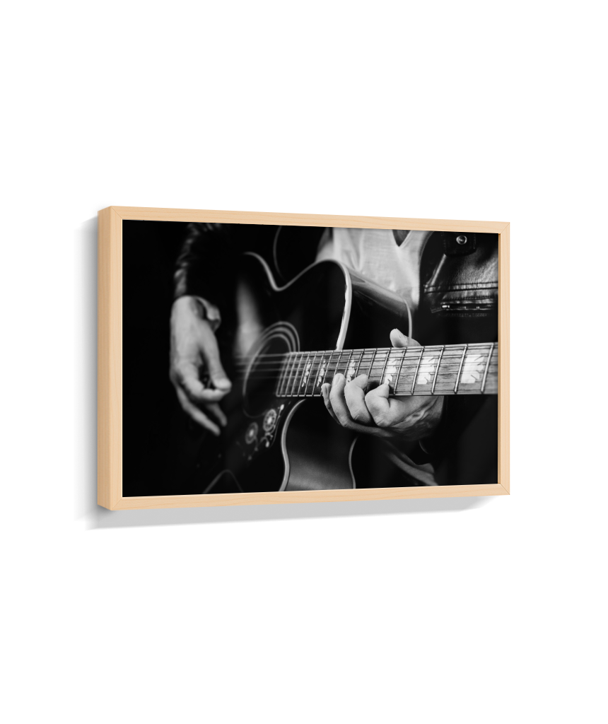Guitarrista PB