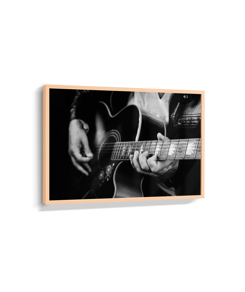 Guitarrista PB