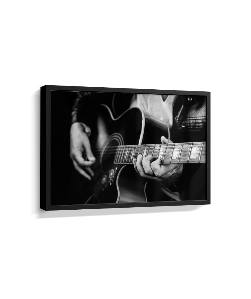 Guitarrista PB