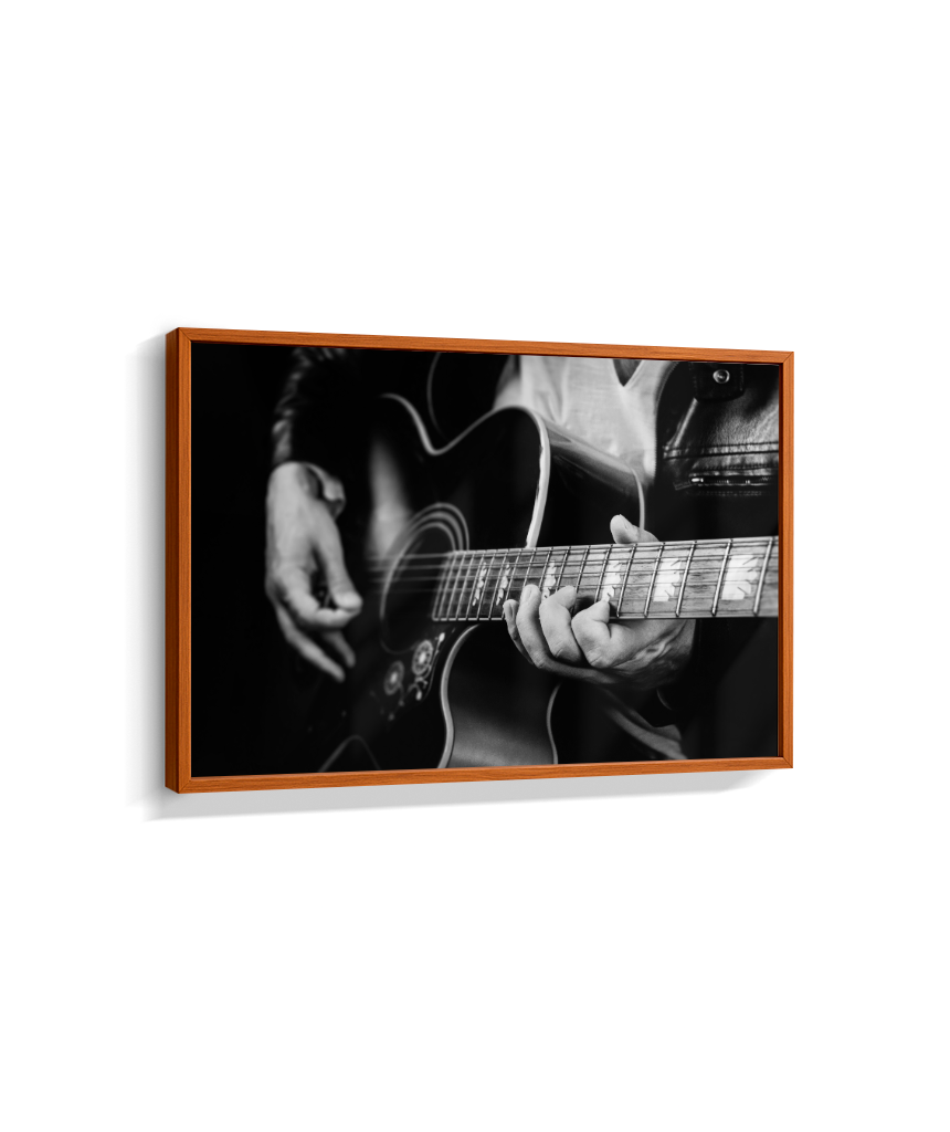 Guitarrista PB