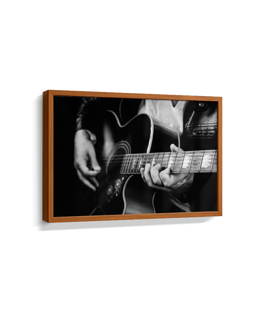 Guitarrista PB