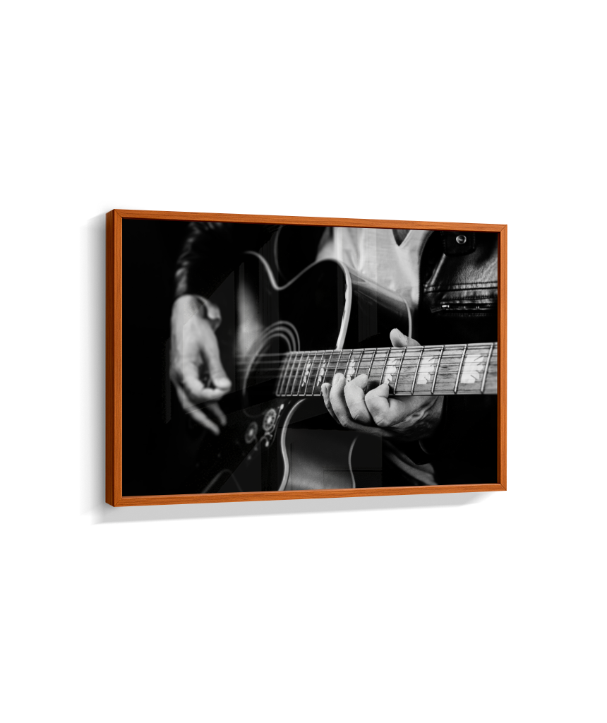Guitarrista PB