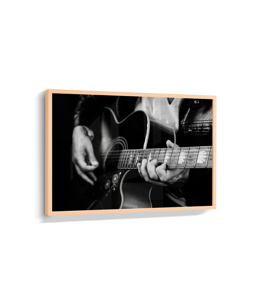 Guitarrista PB